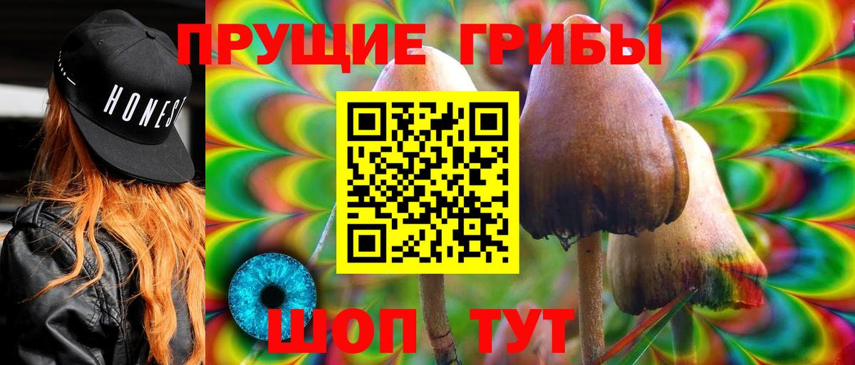 Галлюциногенные грибы Cubensis  Вход с VPN  Галлюциногенные грибы Psilocybine cubensis  Калуга 