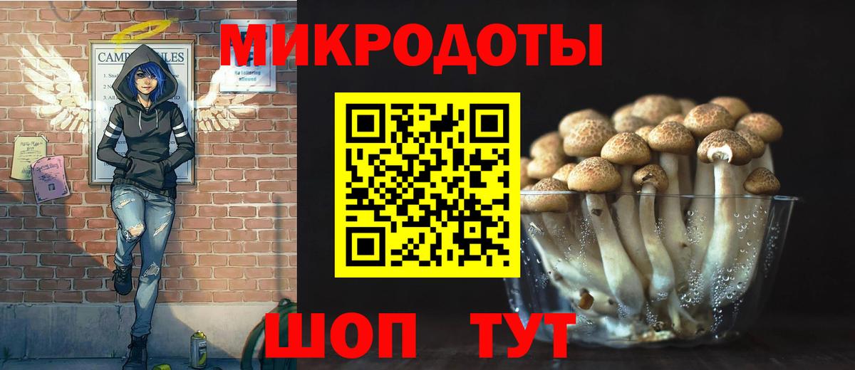 Псилоцибиновые грибы Cubensis Калуга